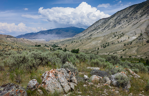 West Yellowstone, Wyoming, USA. The arid landscape of the prairies with sagebrush, mountains, grasses, on a bright sunny day in summer near Cooke City, Montana, USA.
