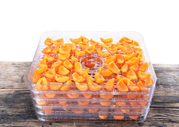 istock Cut apricots on dehydrator tray,fruit dryer, 824236114