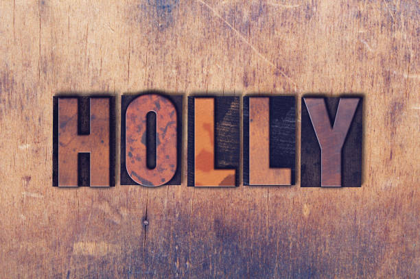 istock Holly Theme Letterpress Word on Wood Background 824245002