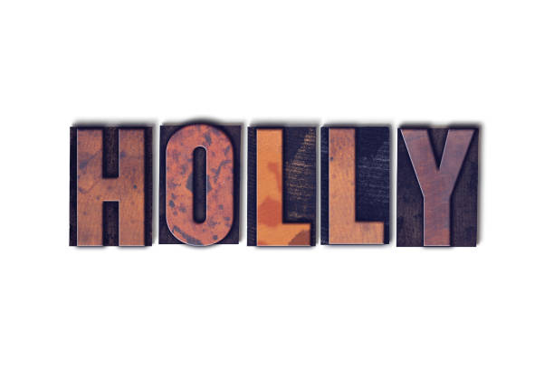istock Holly Concept Isolated Letterpress Word 824245584