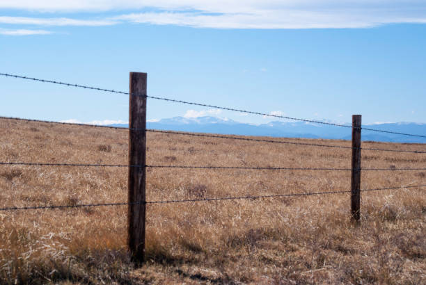 istock High Plains Livestock Fence 824247434