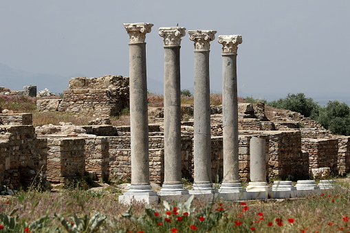 The picture is showing the rowsof columns form the agora of the ancient city of Tralleis, located near Aydin, Turkey.