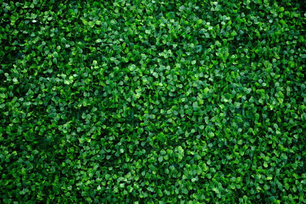 istock Artificial fake plant bush for decoration 824258132