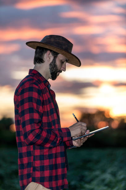 istock Man Farmer Using Digital Tablet in Field at Sunset 824261598