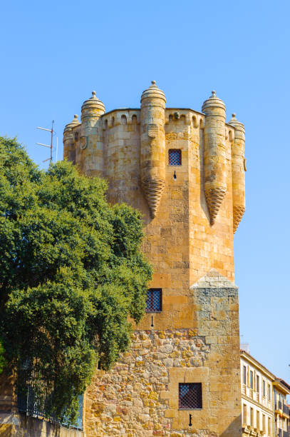 istock Tower del Clavero (15th century), Salamaca, Spain 824269220