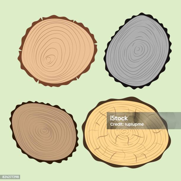 Wood Slice Texture Tree Circle Cut Raw Material Set Detail Plant Years History Textured Rough Forest Vector Illustration Stock Illustration - Download Image Now