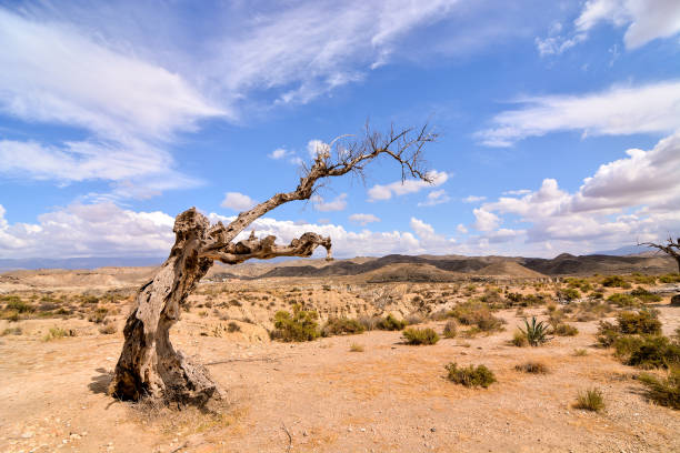 istock Desert Tabernas in Almeria Province Spain 824283568