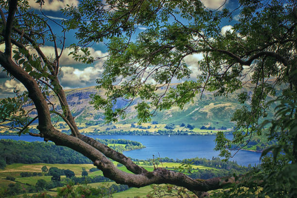 View of Ullswater in Cumbria through trees.