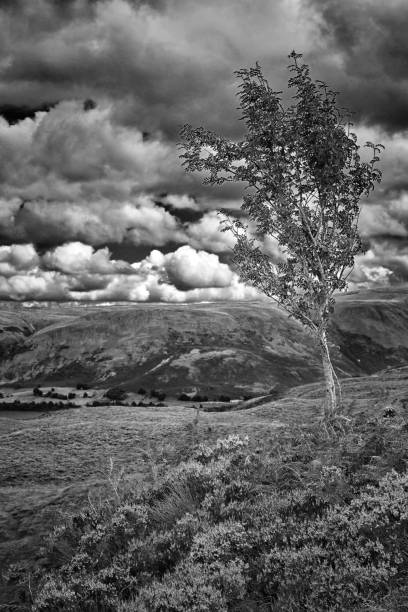 istock View of Ullswater in Cumbria. 824284474