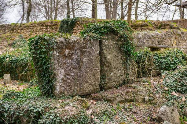 istock Nature and ruins in the Dion Archeological Site in Greece 824286988