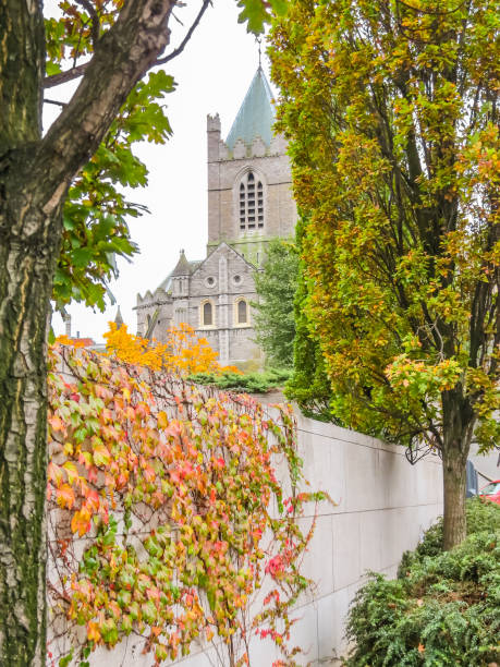 istock Christ Church Cathedral, Dublin 824287074