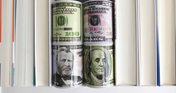 istock 50 and 100 US dollar bins standing between books 824294312