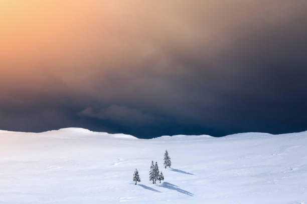 paesaggio invernale con pini - winter sunrise mountain snow foto e immagini stock