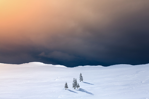 Spectacular snowy landscape from the top of a mountain at sunset. Snowy landscape in the henares valley. Sunset with endless snowfall