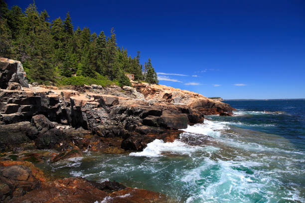 istock Acadia National Park, Atlantic Ocean ridge, USA 824294988