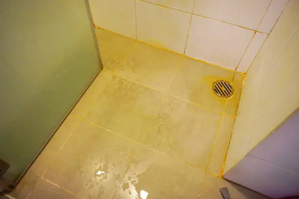 Photo of Old floor bathroom and Dirty Toilet