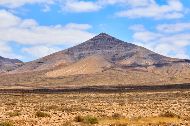 istock Olive mountains - Fuerteventura 824316196