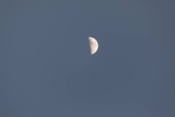 Half of moon in the evening time