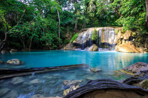 wodospad erawan w kanchanaburi, tajlandia - tropical rainforest thailand root waterfall zdjęcia i obrazy z banku zdjęć