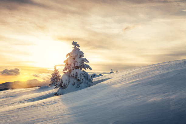 istock Winter Landscape At Sunset 824328102