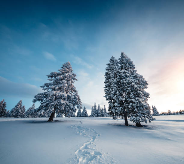 冬のパス - ウィンターワンダーランド ストックフォトと画像