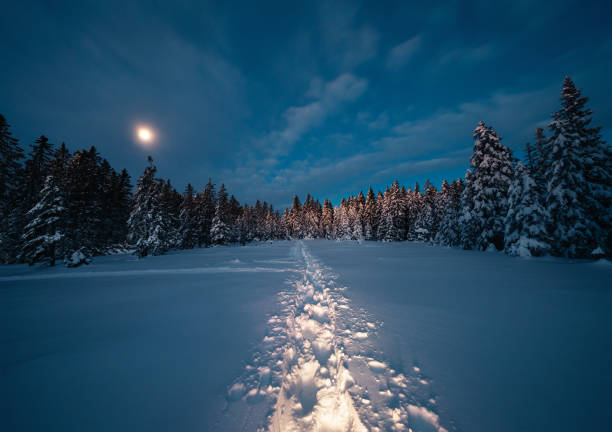 mondlicht winterspaziergang - winter cold footpath footprint stock-fotos und bilder