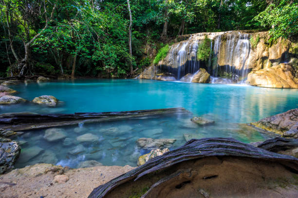 wodospad erawan w kanchanaburi, tajlandia - tropical rainforest thailand root waterfall zdjęcia i obrazy z banku zdjęć