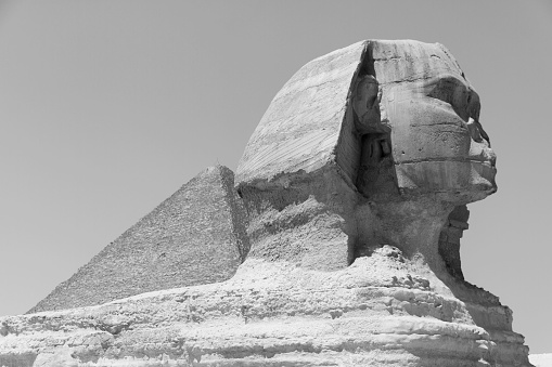 Sphinx view, black and white