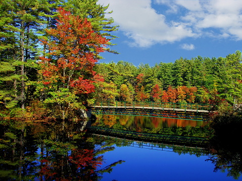 Fall colors on a pond in Concord, New Hampshire