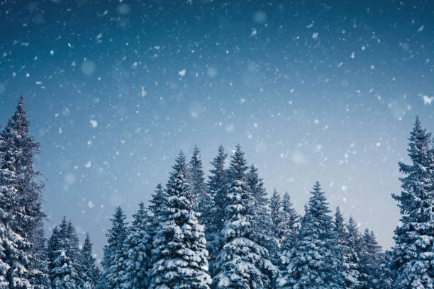istock Winter Fairy Tale 824348798