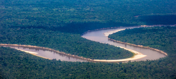 istock River of Amazon on the Peru part 824352214