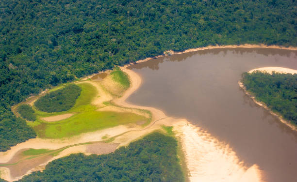 istock Amazon of Peru, from the air 824352392