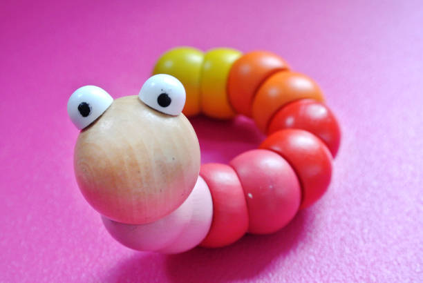 wooden colored caterpillar