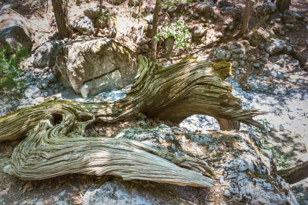 the gorge of Samaria, the mountainous terrain