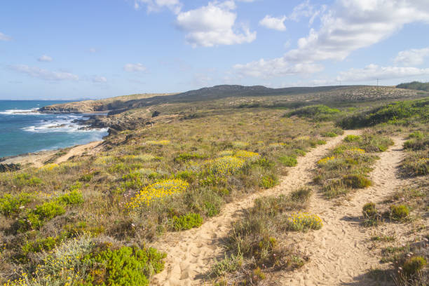 istock Trail and beach in Porto Covo 824359848