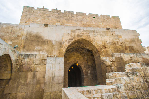 istock Citadel of Aleppo, Syria 824363200
