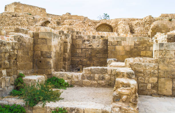 istock Citadel of Aleppo, Syria 824363206