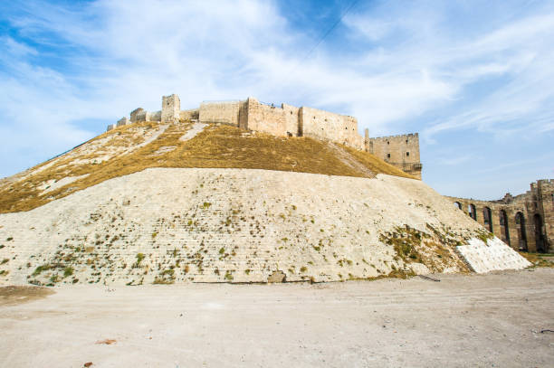 istock Citadel of Aleppo, Syria 824365880