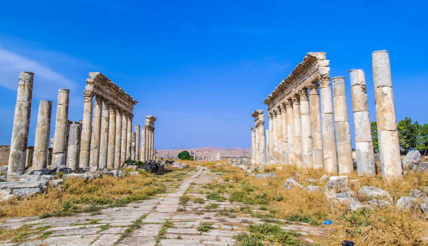 istock Ruins of Apamea, Syria 824366382