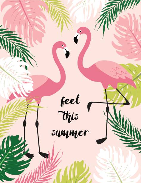illustrations, cliparts, dessins animés et icônes de joli fond tropical exotique avec des personnages de dessins animés de deux flamants roses - flamingo bird isolated animal leg