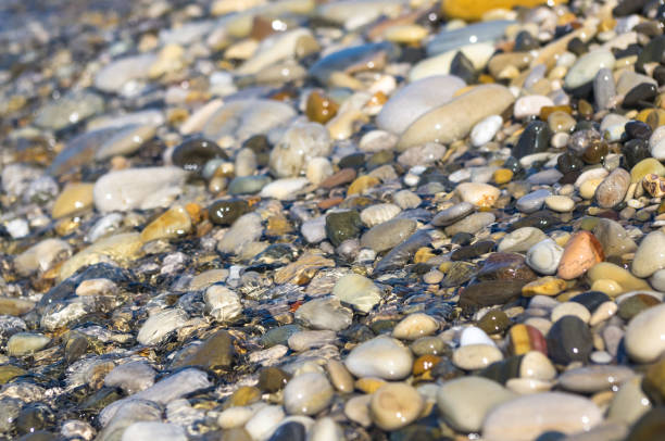 istock sea pebble beach with multicoloured stones, waves with foam 824369604