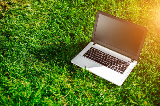 istock Laptop with blank screen on green lawn 824370672