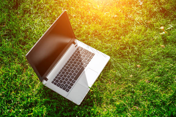 istock Laptop with blank screen on green lawn 824373710
