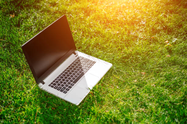 istock Laptop with blank screen on green lawn 824373986