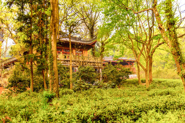 istock Lingyin Temple (Temple of the Soul's Retreat) complex. One of the largest Buddhist temples in China 824374474
