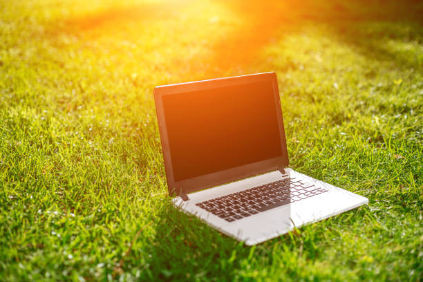 istock Laptop with blank screen on green lawn 824374518