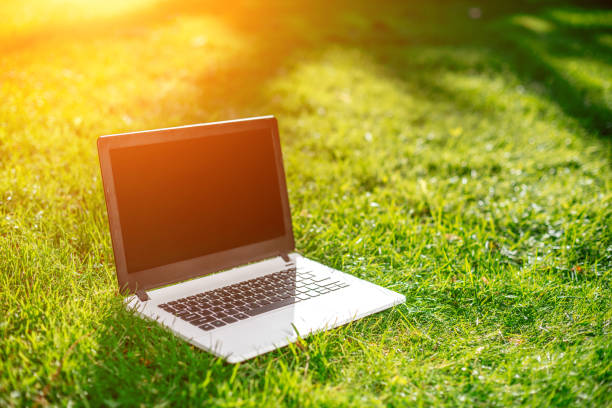 istock Laptop with blank screen on green lawn 824376780