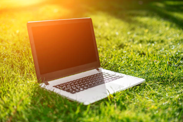 istock Laptop with blank screen on green lawn 824377036