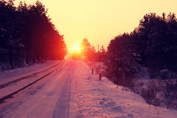 istock Snow-covered road near the forest at sunset 824378568