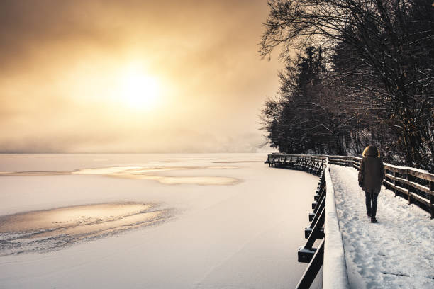alba sul lago - snow loneliness tree remote foto e immagini stock